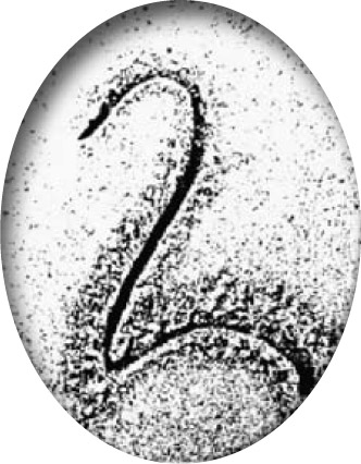 Logo Visual 2chwanensee